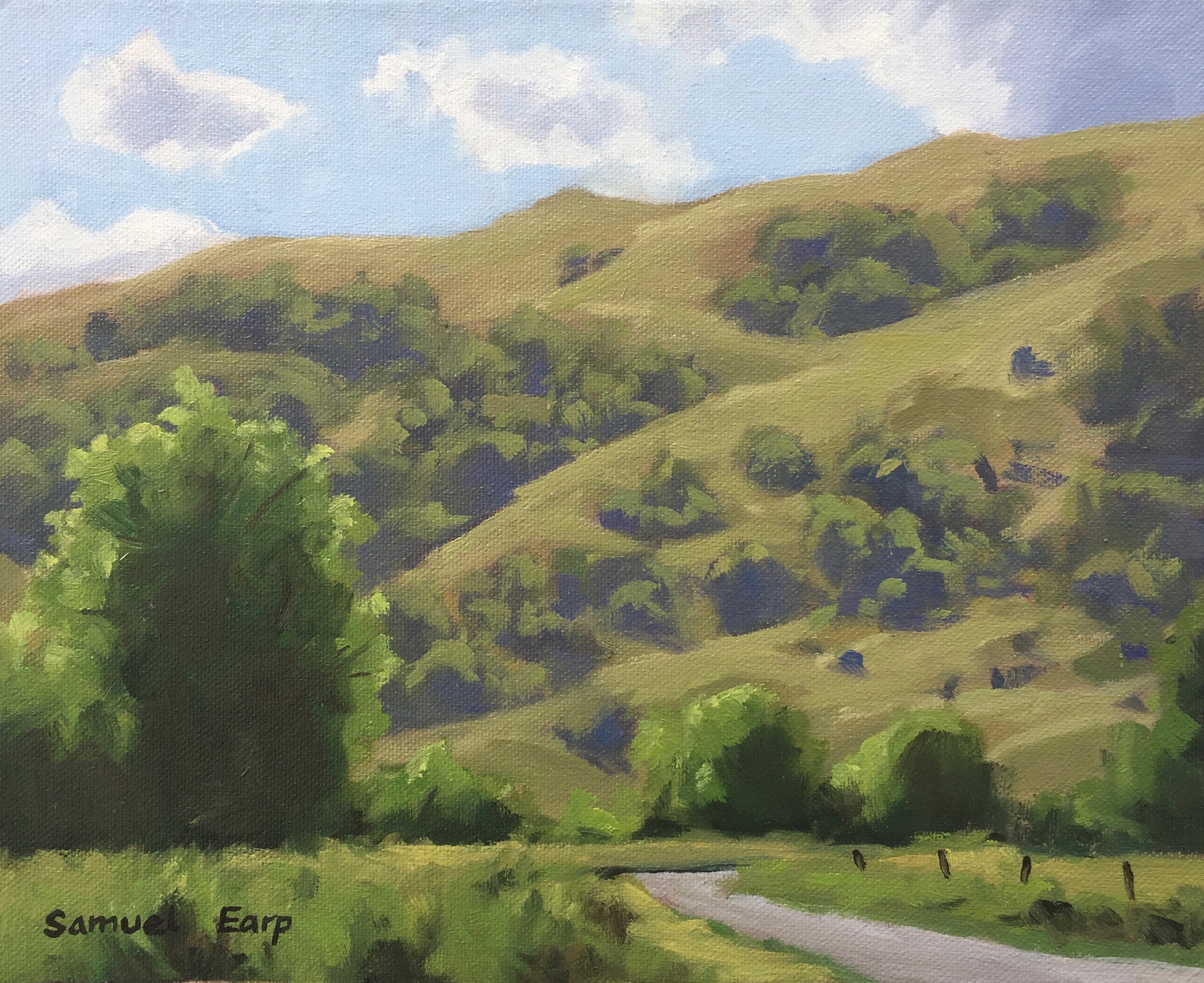 Painting Trees and Hills Outdoors in Dalefield, New Zealand Art and Painting Process Photos